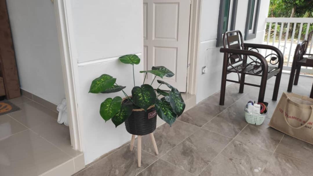 D'LaMar Homestay Pendang Luaran gambar