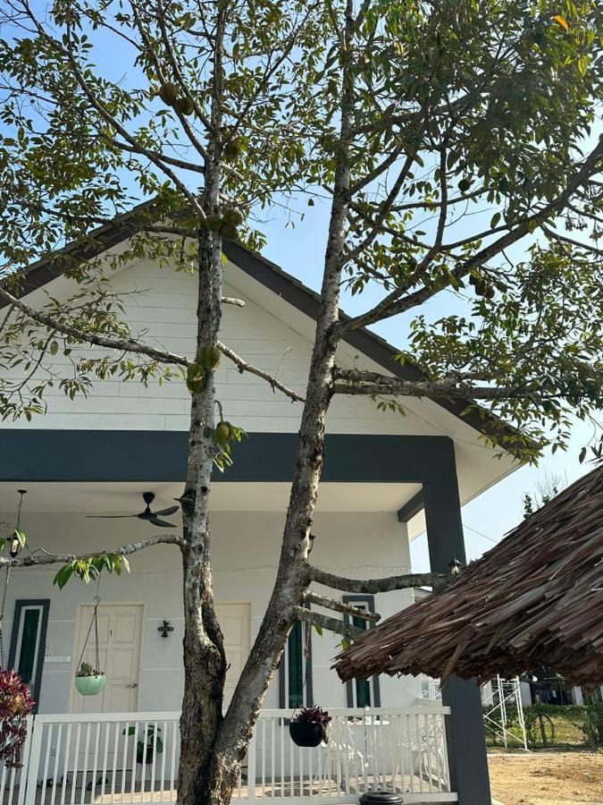 D'LaMar Homestay Pendang Luaran gambar